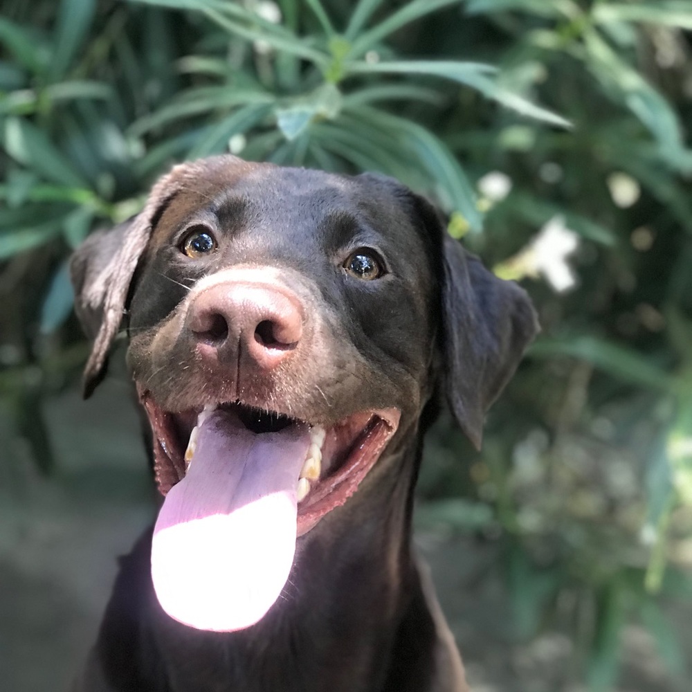 Meet your Posher, Alicia